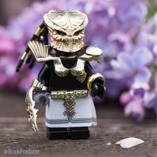 Huntress Predator LEGO Custom Set Huntress Predator LEGO Custom Set