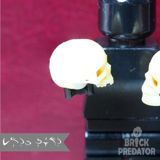 Yorick skull Yorick skull