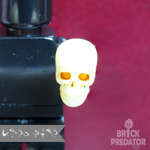Skull Skull