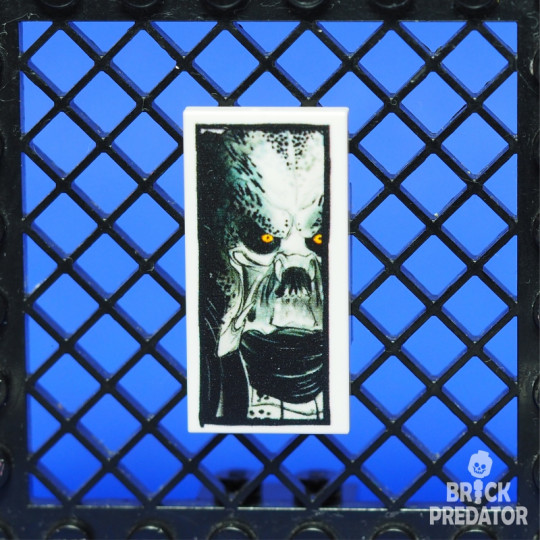 Tile 2x4 with print No. 11 Tile 2x4 with print No. 11